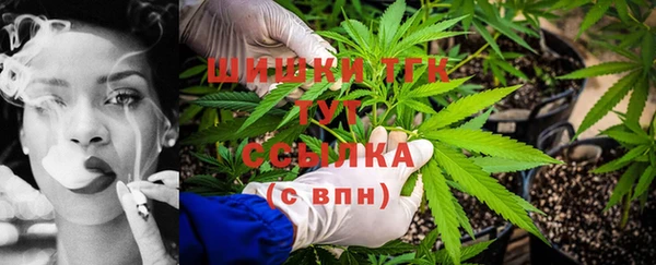 ПСИЛОЦИБИНОВЫЕ ГРИБЫ Киреевск