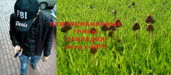 ПСИЛОЦИБИНОВЫЕ ГРИБЫ Киреевск