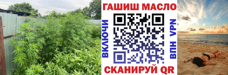 ТГК Wax Купить Гдов