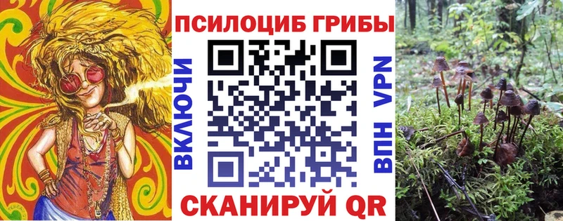 Купить  Гдов  Галлюциногенные грибы GOLDEN TEACHER 
