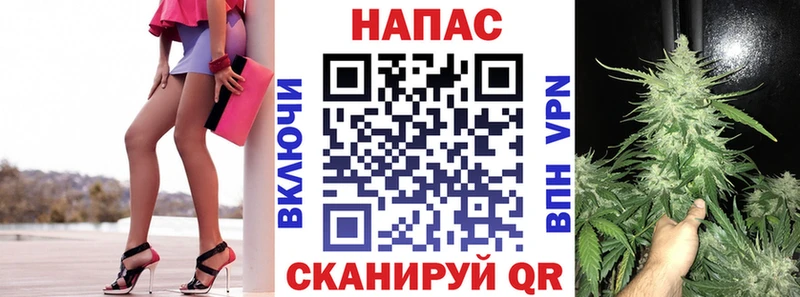 Купить закладки  Гдов  Марихуана семена 